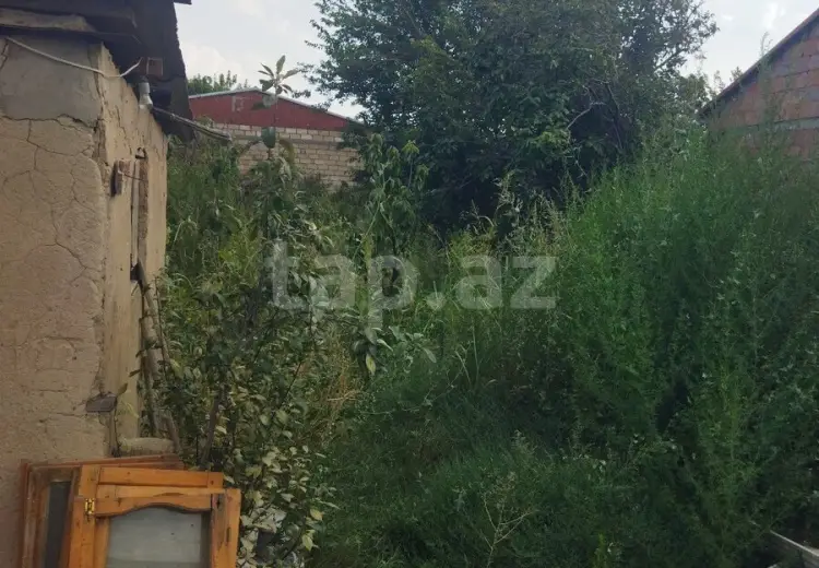 3 otaqlı mənzil , Sumqayıt