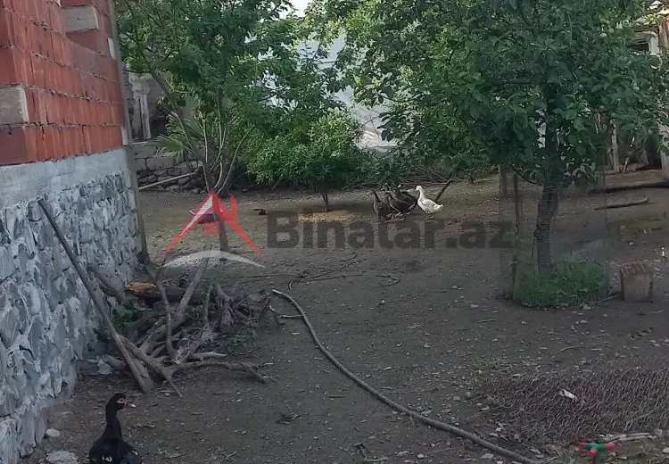 2 otaqlı mənzil Satılır, Şəki