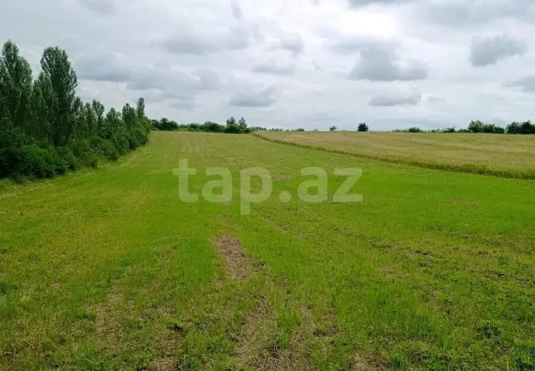 0 m² Obyekt / Ofis , Qusar