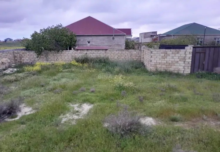 3.5 sot Torpaq Satılır, Saray, Abşeron
