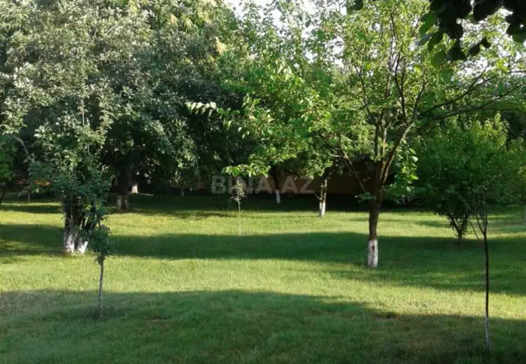 4000 m² Obyekt / Ofis Satılır, İsmayıllı