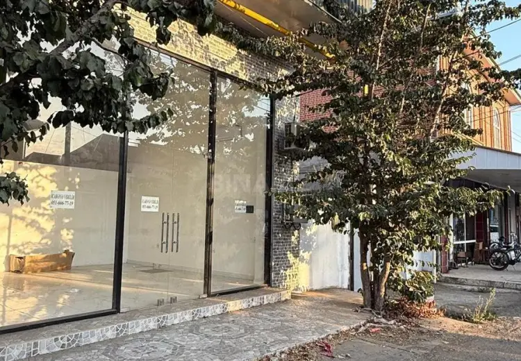 60 m² Obyekt / Ofis Kirayə (aylıq), Lənkəran