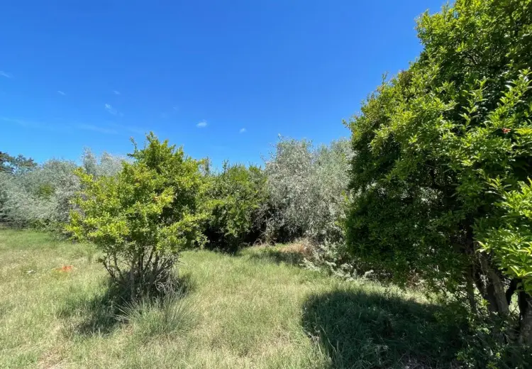 60 sot Torpaq Satılır, Novxanı, Abşeron