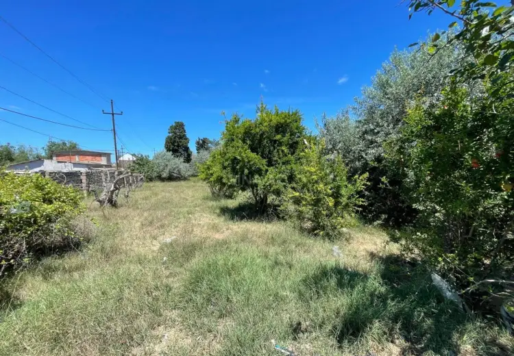 60 sot Torpaq Satılır, Novxanı, Abşeron
