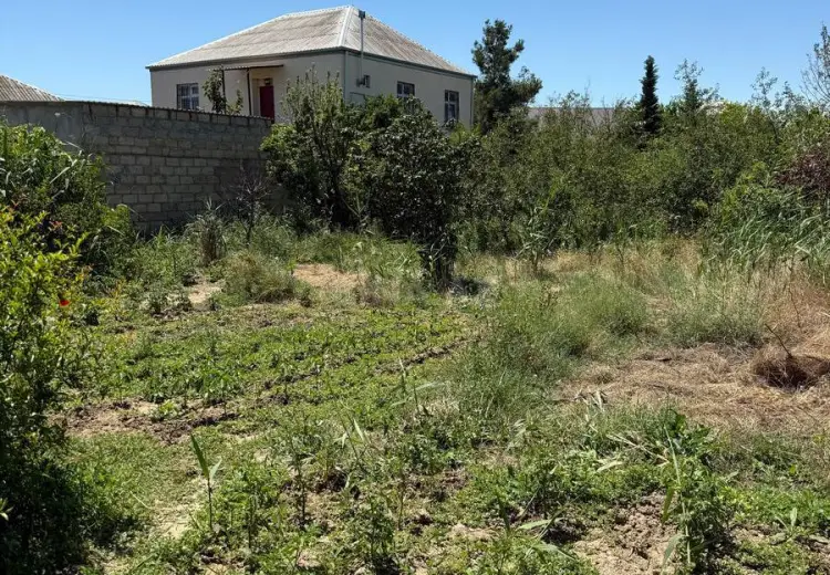 7 sot Torpaq Satılır, Sumqayıt