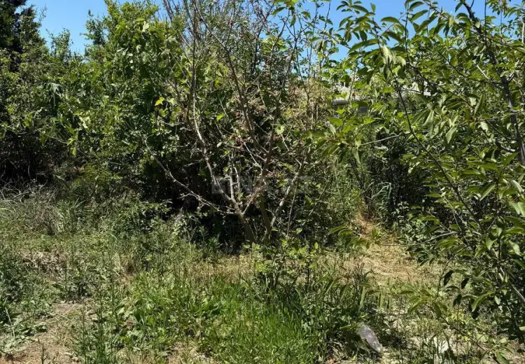 7 sot Torpaq Satılır, Sumqayıt