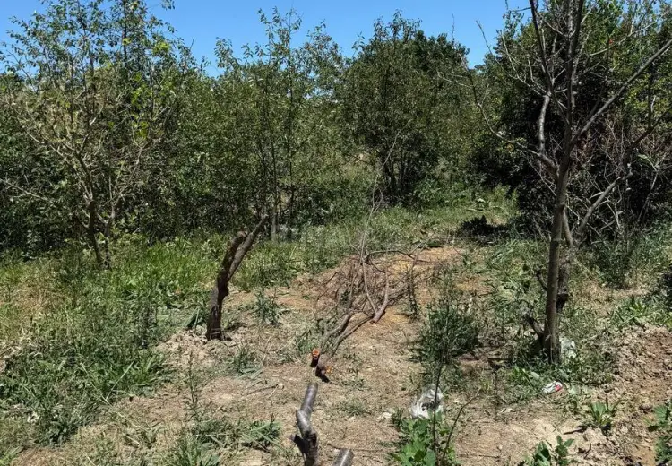 7 sot Torpaq Satılır, Sumqayıt