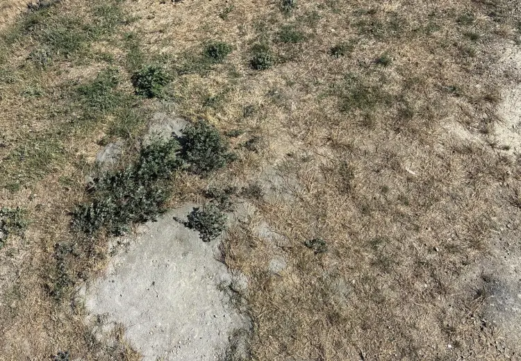 15 sot Torpaq Satılır, Kürdəxanı qəs., Sabunçu, Bakı