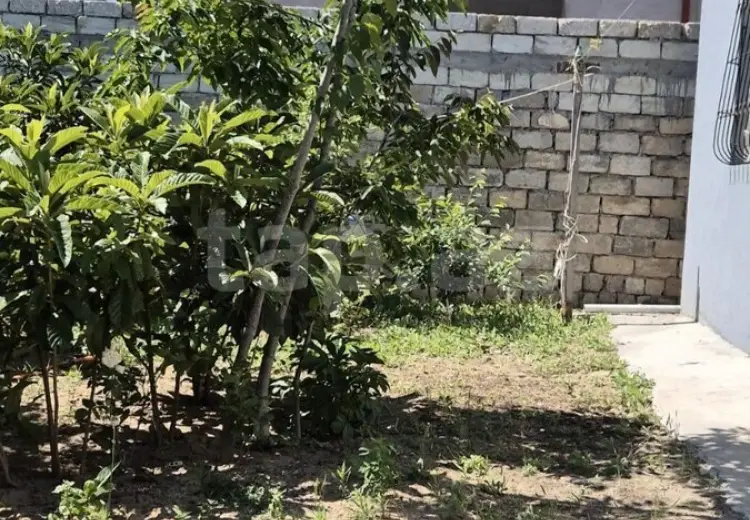 3 otaqlı mənzil , Bakı