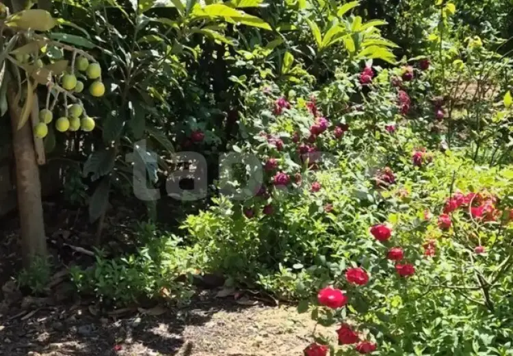 3 otaqlı mənzil , Bakı