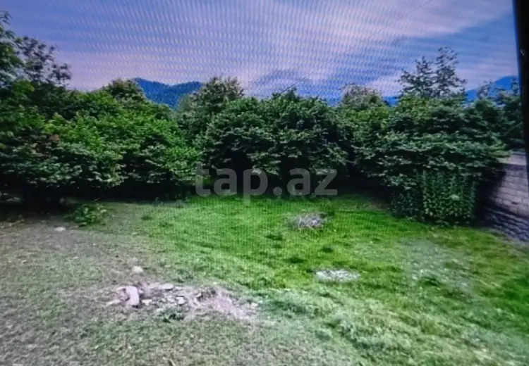 0 m² Obyekt / Ofis , Zaqatala