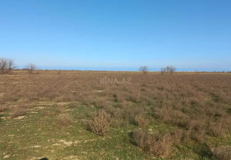 322 sot Torpaq Satılır, Abşeron