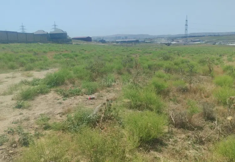 45 sot Torpaq Satılır, Saray, Abşeron