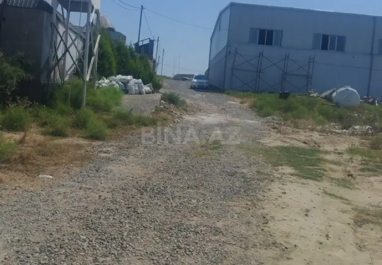 45 sot Torpaq Satılır, Saray, Abşeron