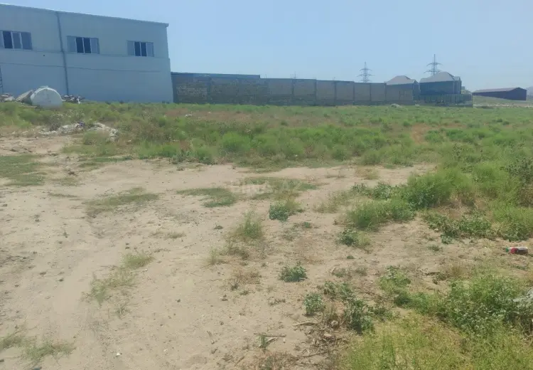 45 sot Torpaq Satılır, Saray, Abşeron