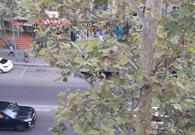 3 otaqlı mənzil Satılır, 4-cü mikrorayon, Nəsimi, Bakı