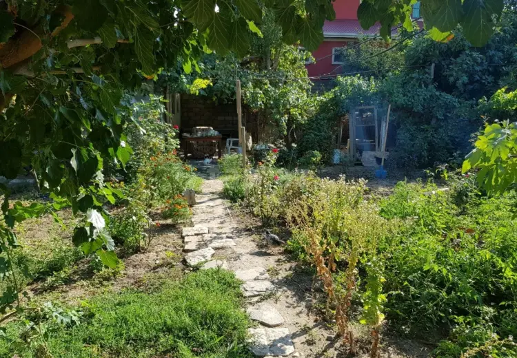 0 m² Obyekt / Ofis , Sulutəpə qəs., Binəqədi, Bakı