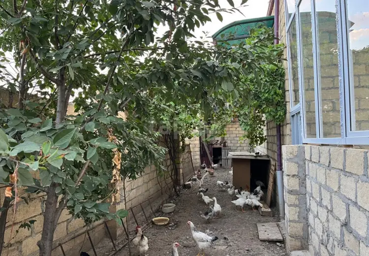 4 otaqlı mənzil , Gəncə