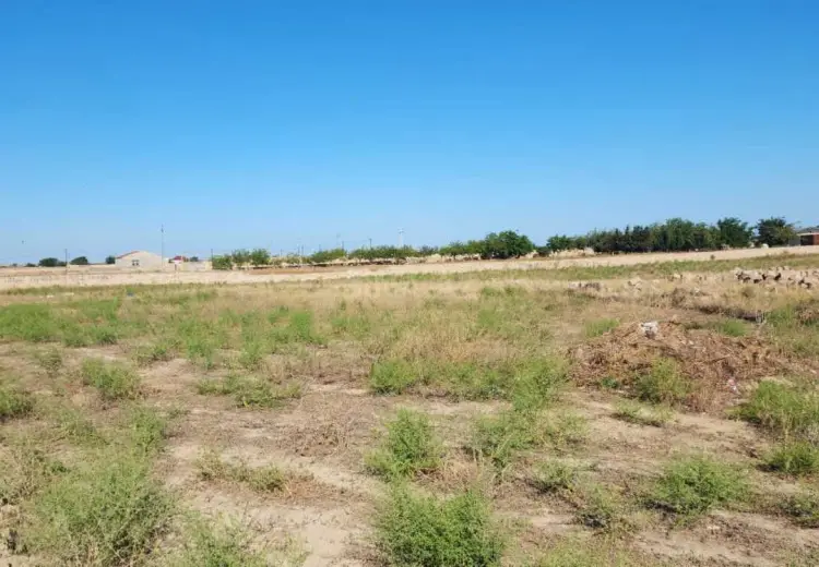 20 sot Torpaq Satılır, Hövsan qəs., Suraxanı, Bakı