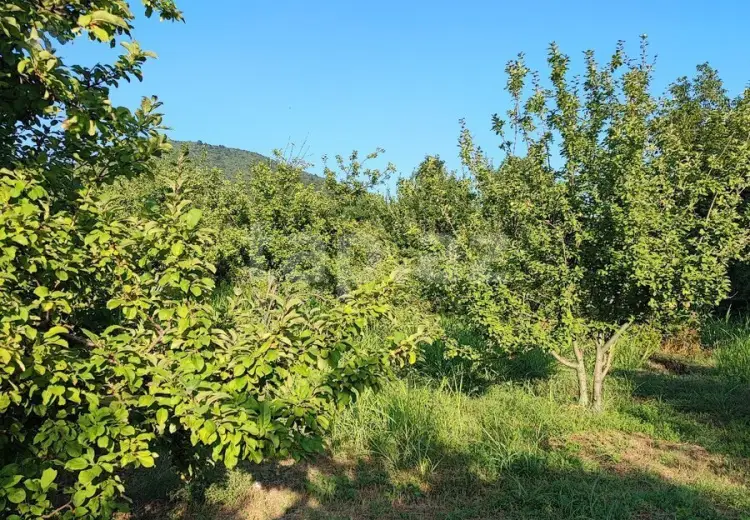 0 m² Obyekt / Ofis , İsmayıllı