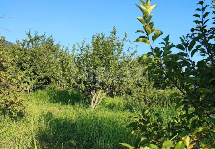 0 m² Obyekt / Ofis , İsmayıllı