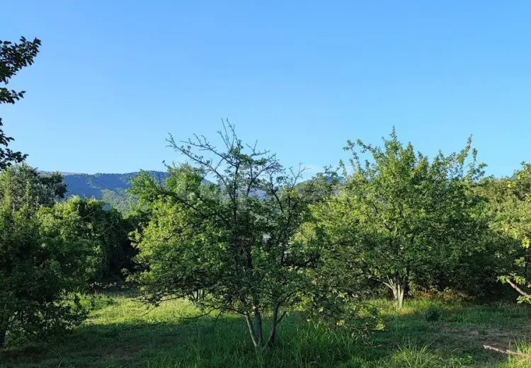 0 m² Obyekt / Ofis , İsmayıllı