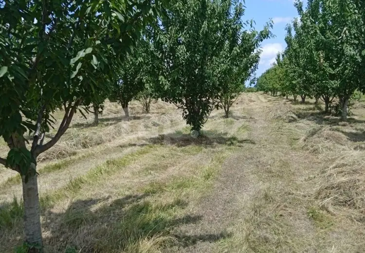 0 m² Obyekt / Ofis , Qusar