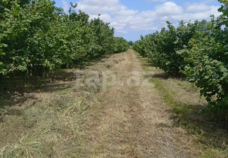 0 m² Obyekt / Ofis , Qusar