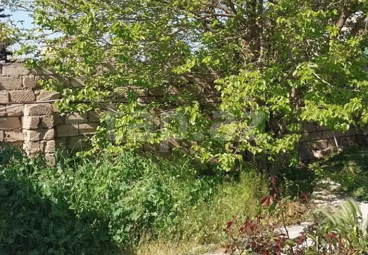 0 m² Obyekt / Ofis , Mərdəkan, Xəzər, Bakı