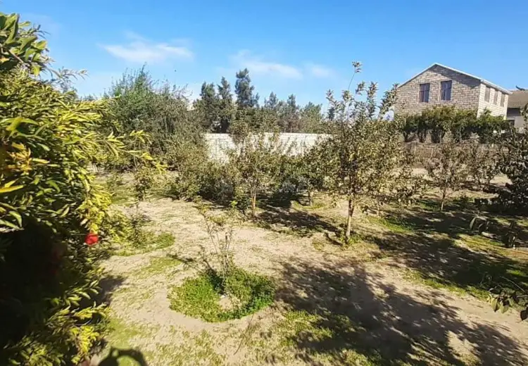 15 sot Torpaq Satılır, Bilgəh qəs., Sabunçu, Bakı