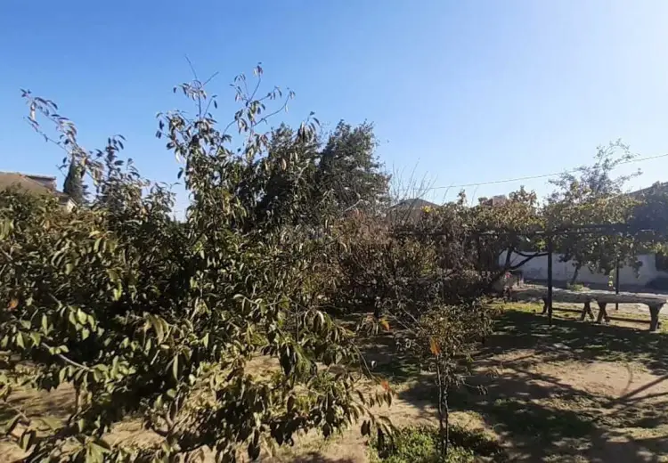 15 sot Torpaq Satılır, Bilgəh qəs., Sabunçu, Bakı
