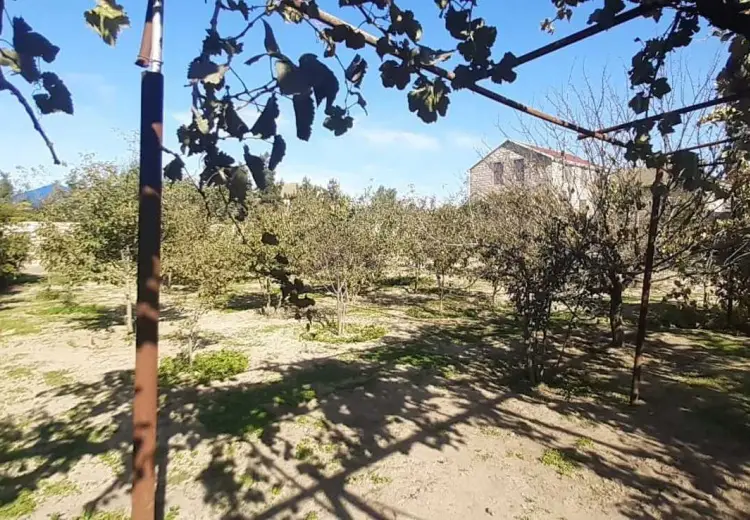 15 sot Torpaq Satılır, Bilgəh qəs., Sabunçu, Bakı