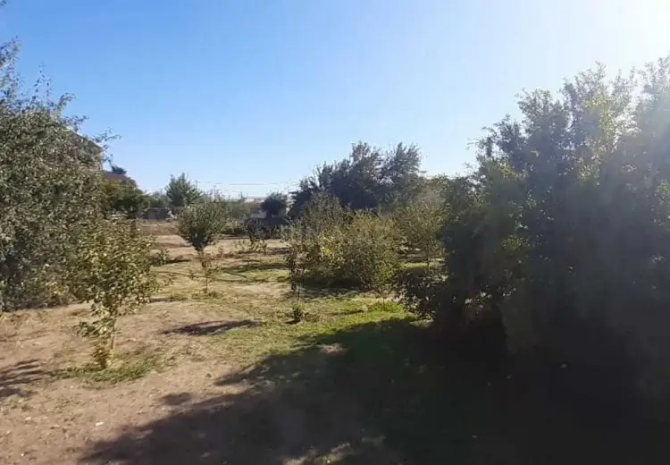 15 sot Torpaq Satılır, Bilgəh qəs., Sabunçu, Bakı