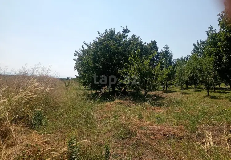 0 m² Obyekt / Ofis , Quba