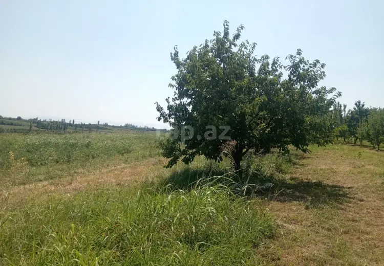 0 m² Obyekt / Ofis , Quba