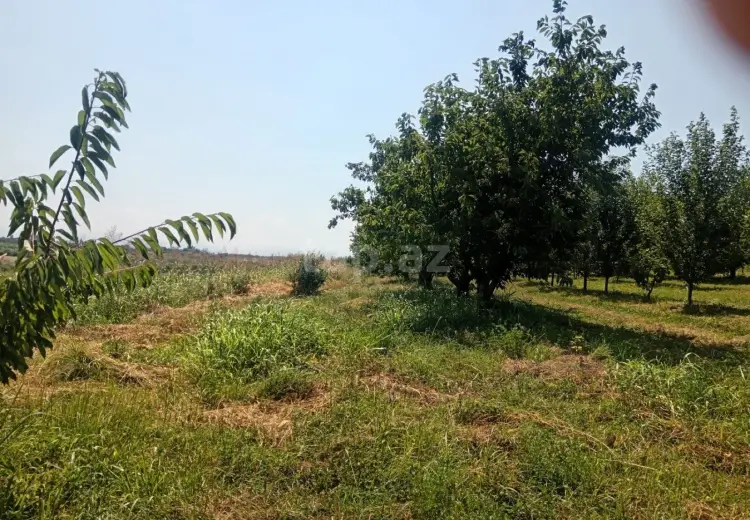 0 m² Obyekt / Ofis , Quba