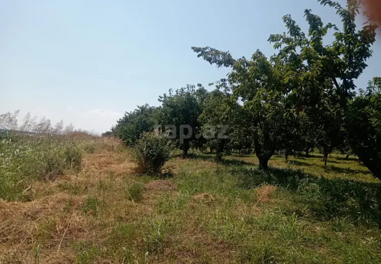 0 m² Obyekt / Ofis , Quba