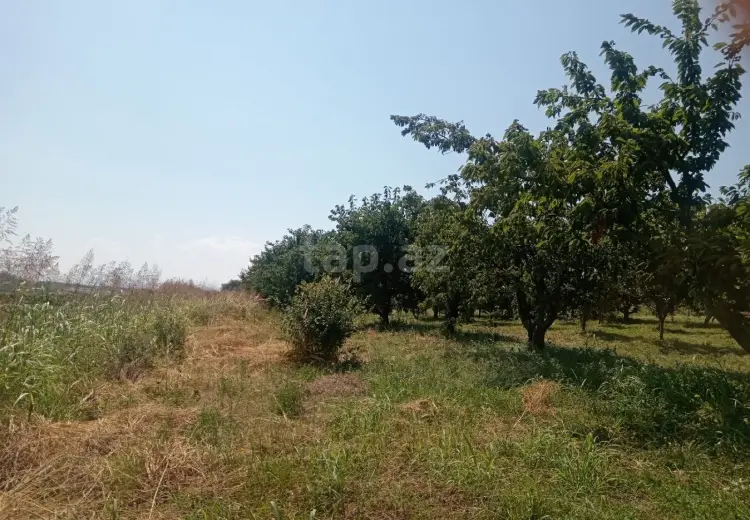0 m² Obyekt / Ofis , Quba