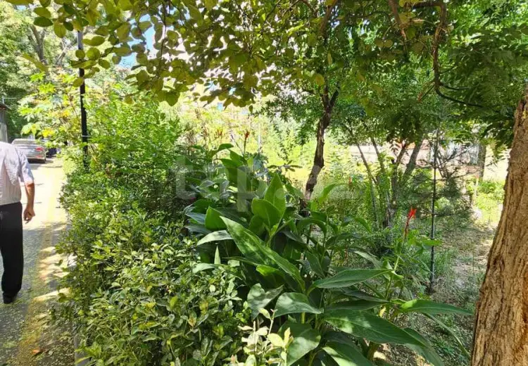 3 otaqlı mənzil , Bakı