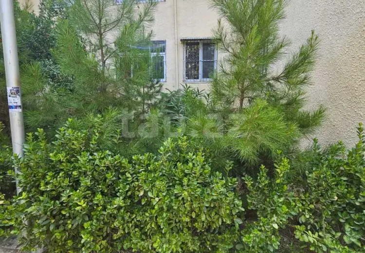 3 otaqlı mənzil , Bakı