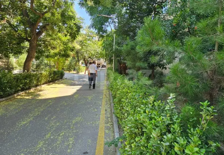 3 otaqlı mənzil , Bakı