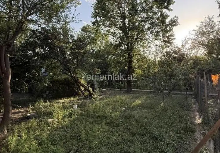 5 sot Torpaq Satılır, Qəbələ