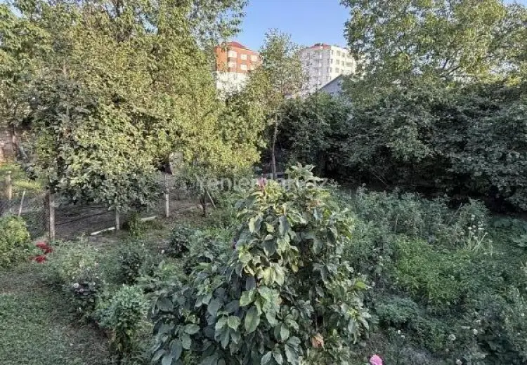 5 sot Torpaq Satılır, Qəbələ