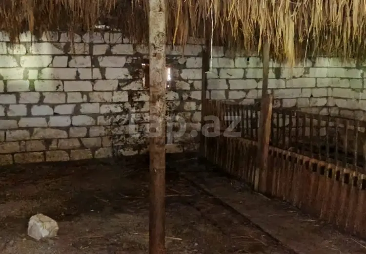 0 m² Obyekt / Ofis , Ağstafa