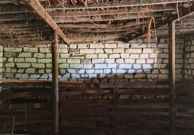 0 m² Obyekt / Ofis , Ağstafa