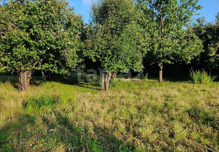 0 m² Obyekt / Ofis , İsmayıllı