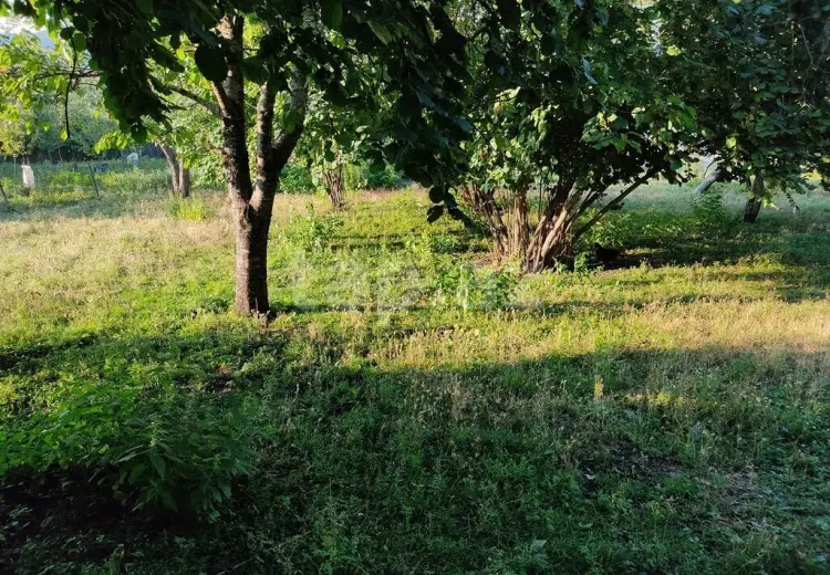 0 m² Obyekt / Ofis , İsmayıllı