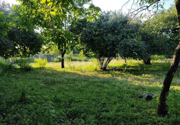0 m² Obyekt / Ofis , İsmayıllı
