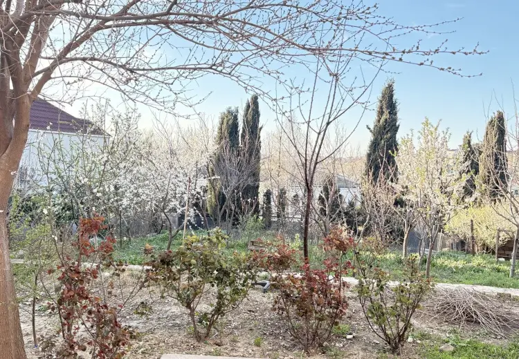 6 sot Torpaq Satılır, Masazır, Abşeron