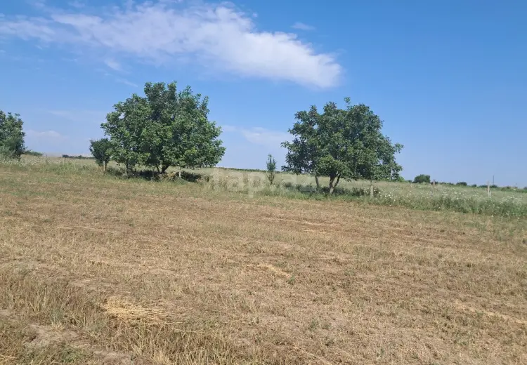 0 m² Obyekt / Ofis , Samux